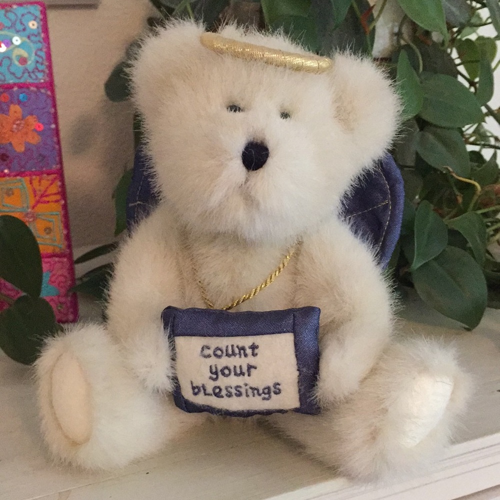 NWT Boyds blessings bear😇